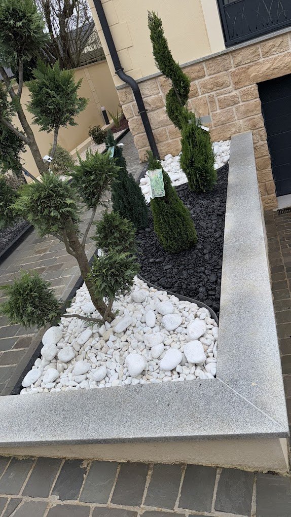 Aménagement terrasse et clôture