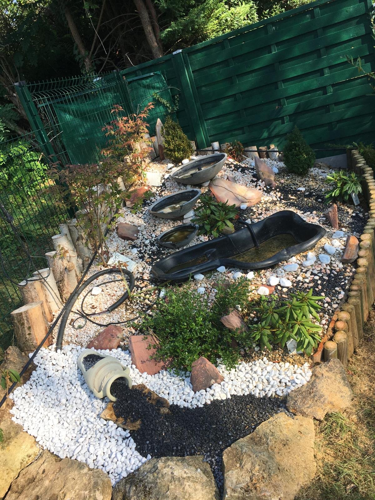 composition bassin et plantations