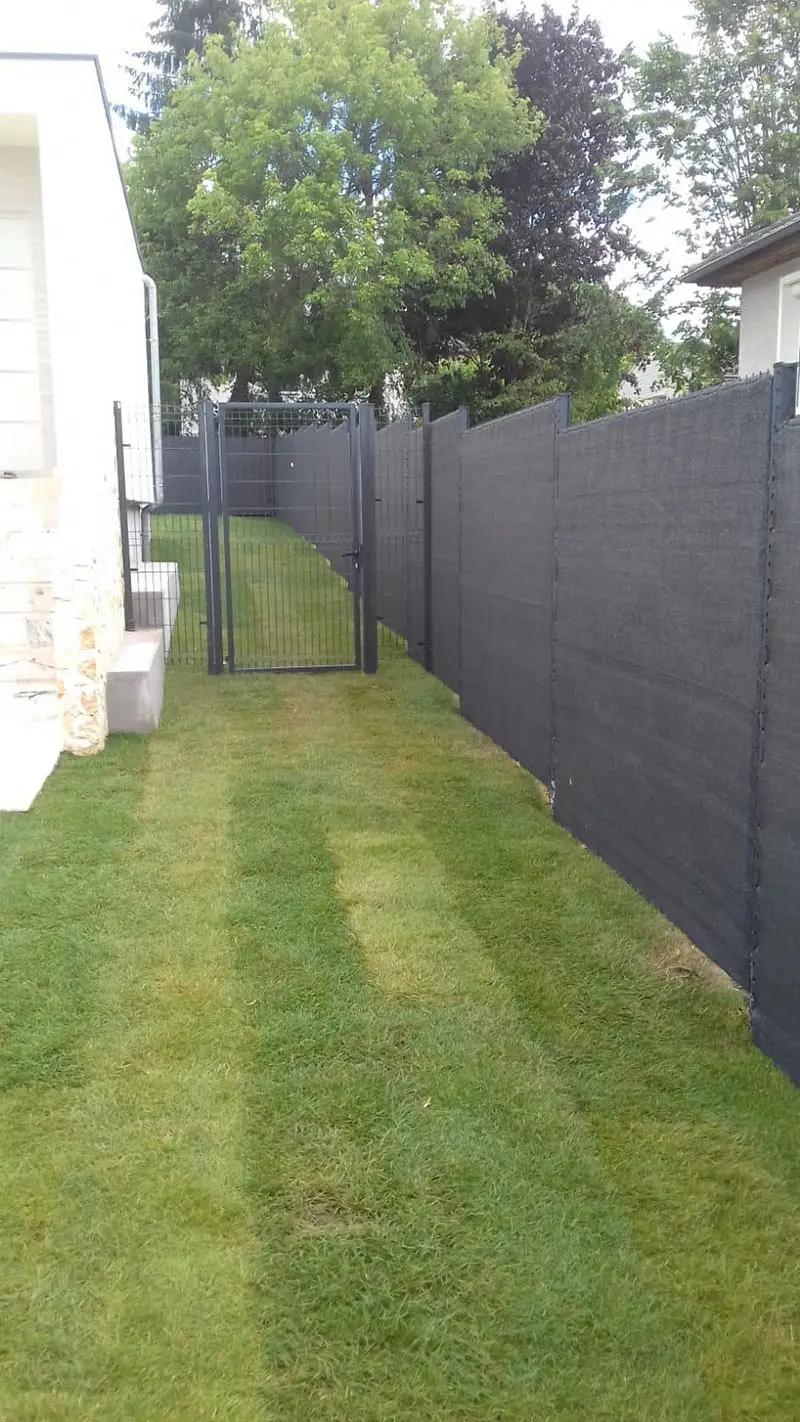 clôture arrière métallique avec gazon